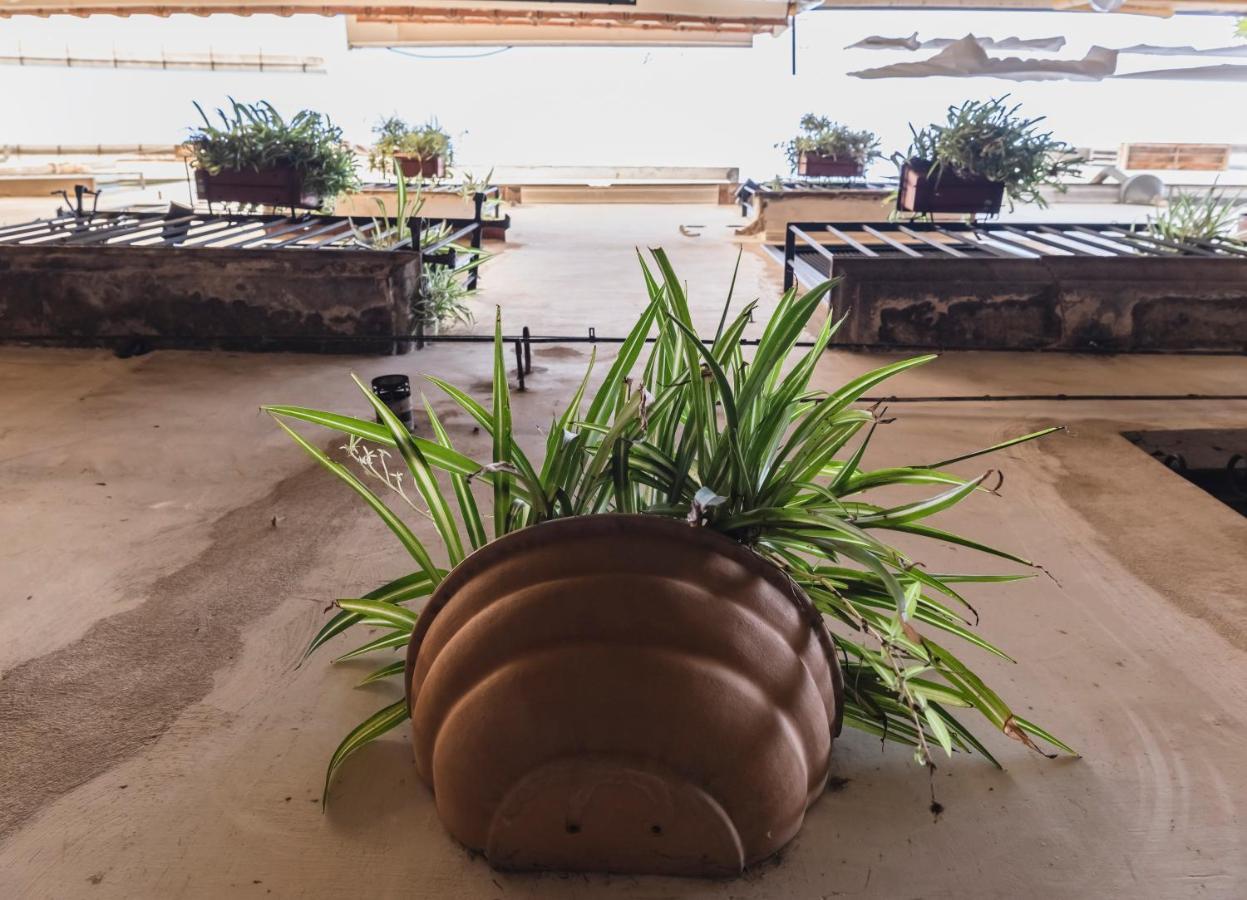 살레르노 La Casa Degli Angeli B&B 외부 사진